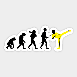 Kung Fu Evolution Sticker